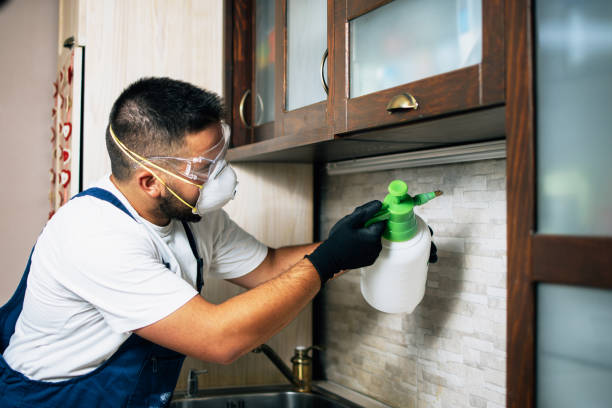 Professional Pest Control in Fort Recovery, OH
