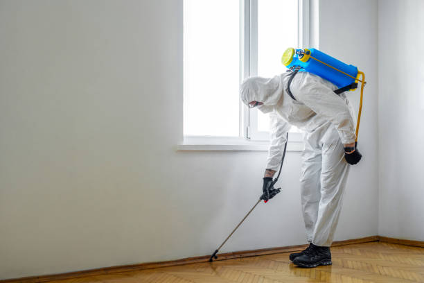 Best Pest Prevention Services  in Fort Recovery, OH