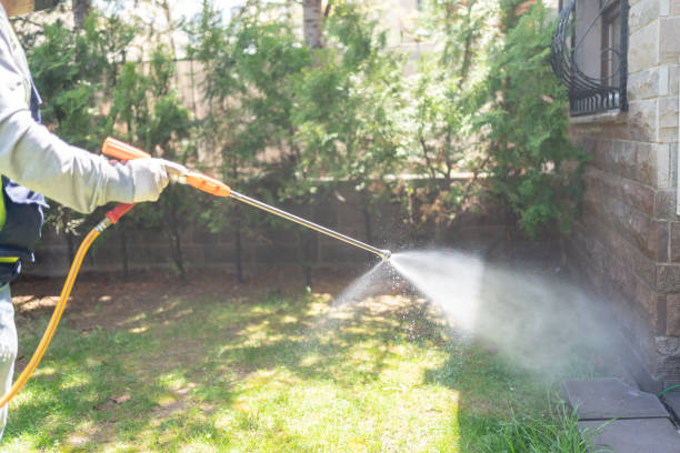 Best Mosquito Control Services  in Fort Recovery, OH