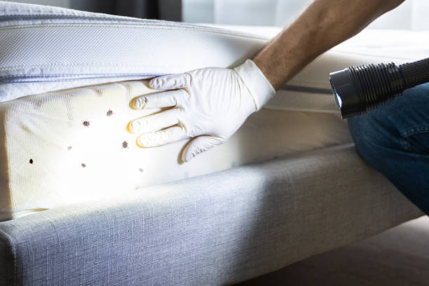 Best Cockroach Control Services  in Fort Recovery, OH