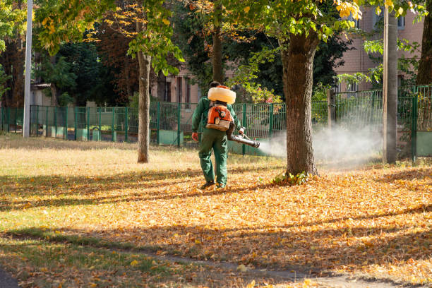 Best Wasp Removal Services  in Fort Recovery, OH