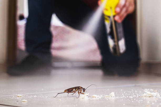Best Pest Prevention Services  in Fort Recovery, OH