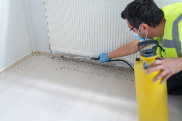 Best Pest Prevention Services  in Fort Recovery, OH